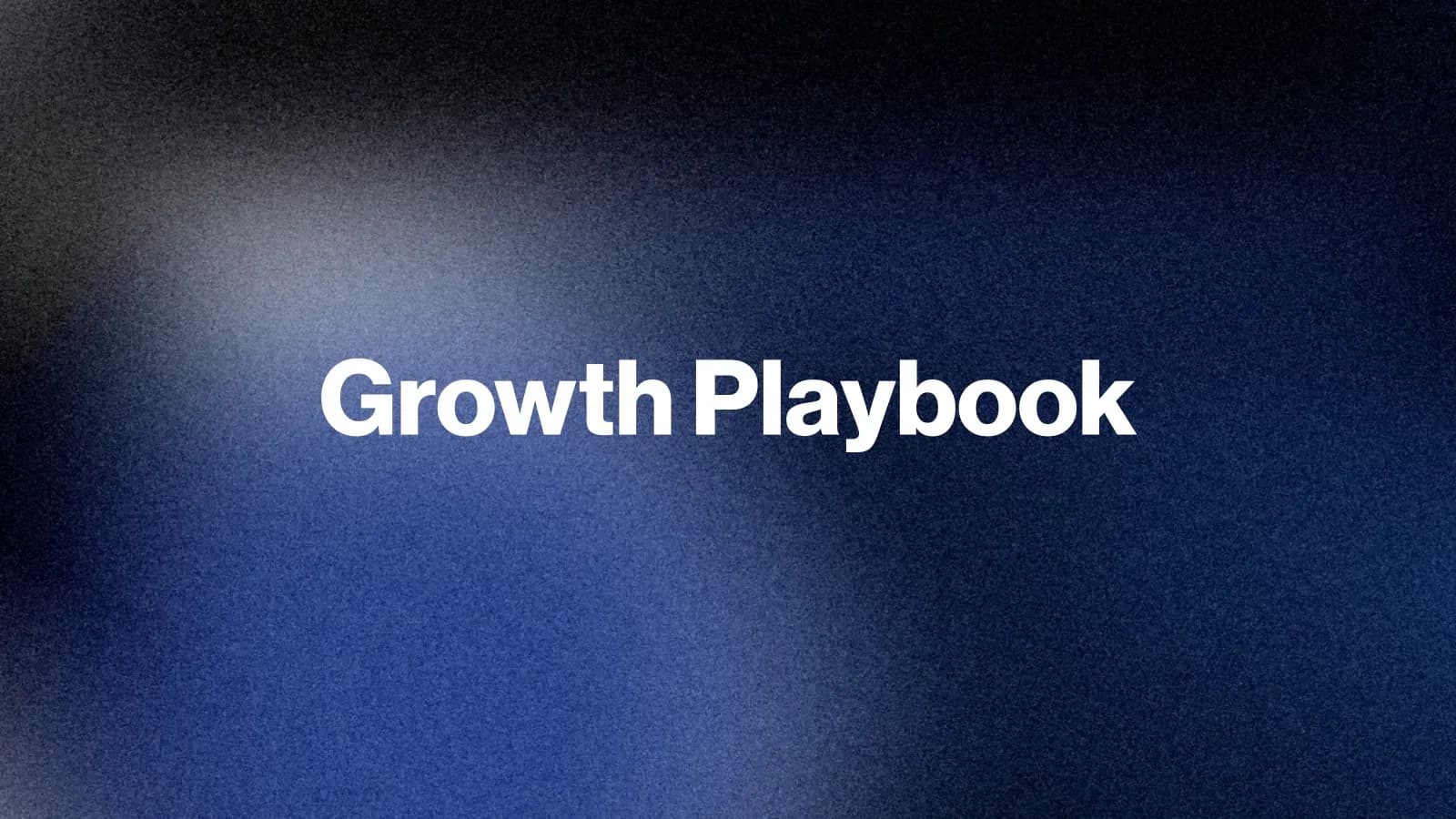 The New Growth Playbook: Vertical and Niche Strategies